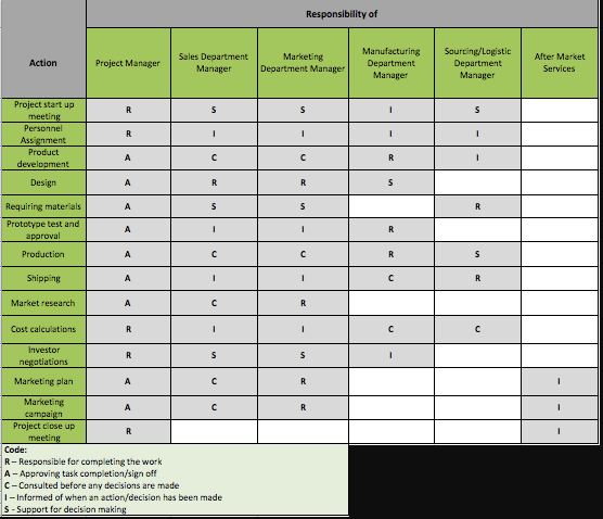 action and responsibility project plan sample